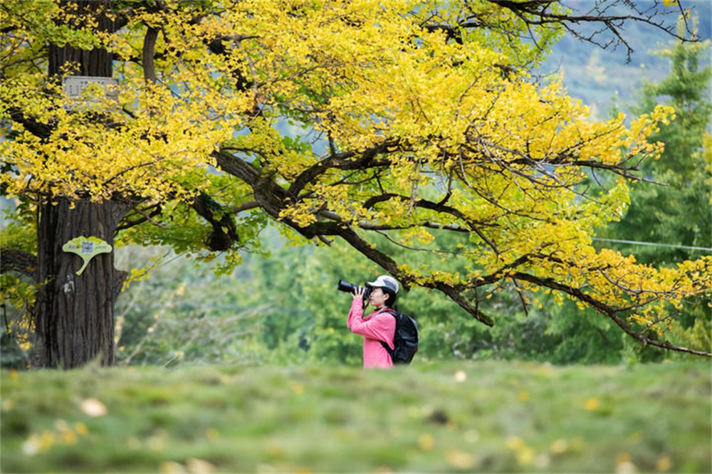 202407041720077446328933.jpg XxjrmtC007004_20240704_CBMFN0A005.jpg